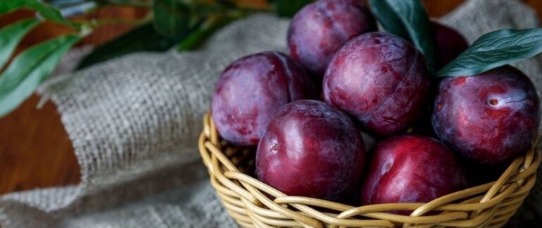 Plums Benefits Nutritional Facts Side Effects And How To Use High Rated Gabru 0337
